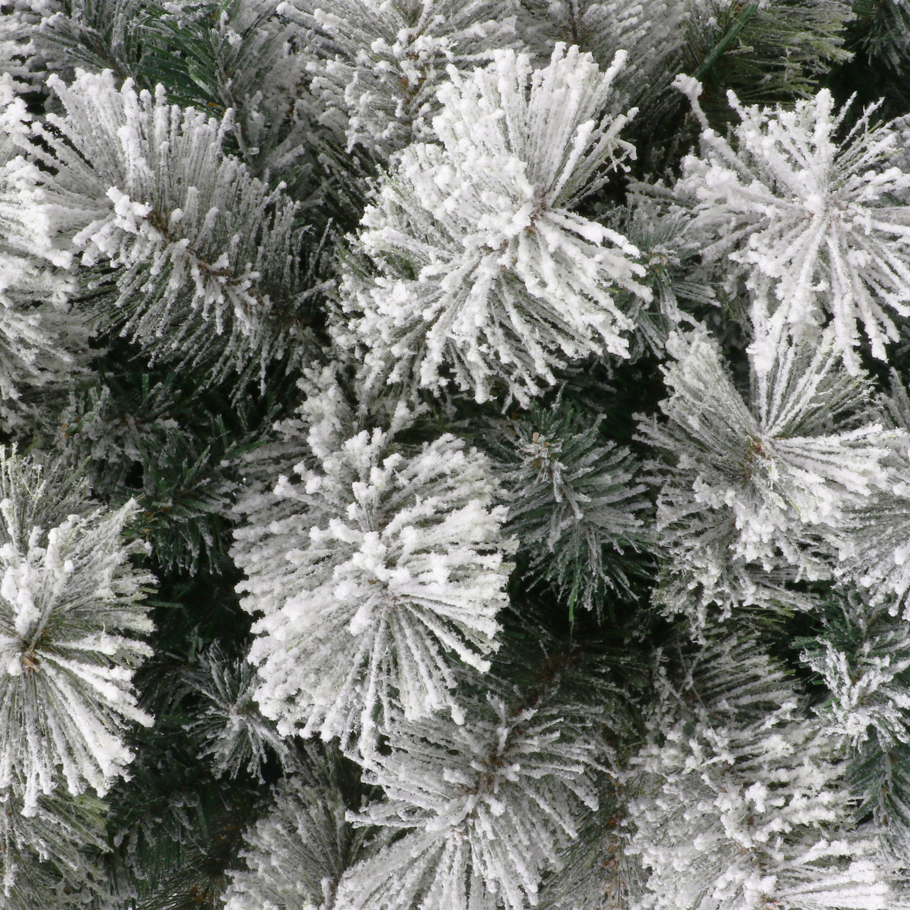 6ft Pre-Lit Flocked Montana Pine Tree